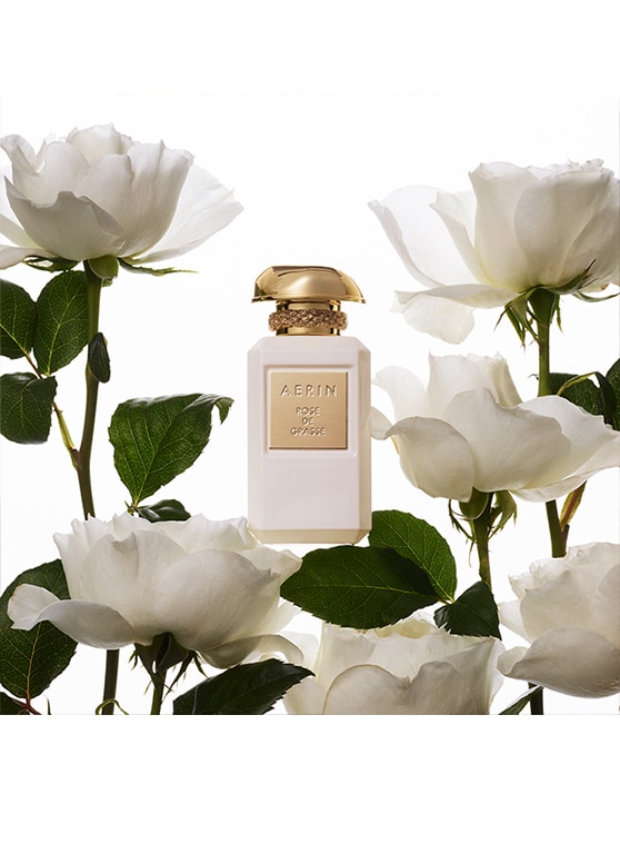Άρωμα aerin rose de grasse